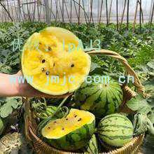 Ļ