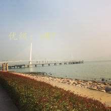 ҵ