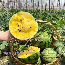 Ļ