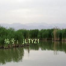 ΢