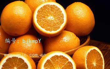 ģ