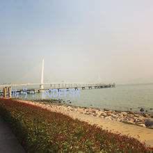 ˲