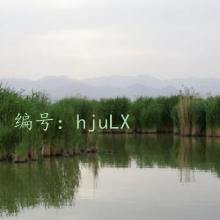 Ŀ