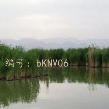 ˳