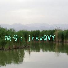 ϣ