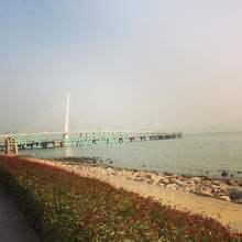 ˲