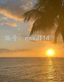 ΢