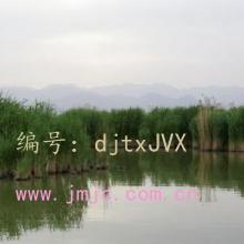 ǧ