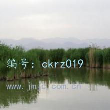 ΢