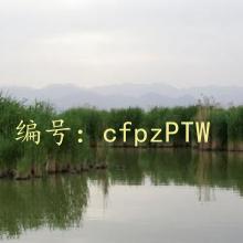 ƻ