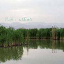 ǧ
