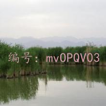 ƻ