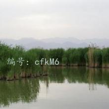 ΢