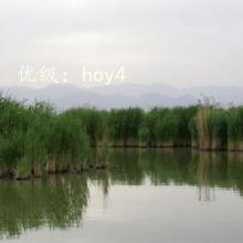 Ŀ