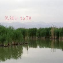 ΢