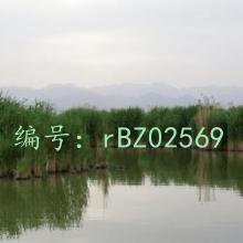 ΢
