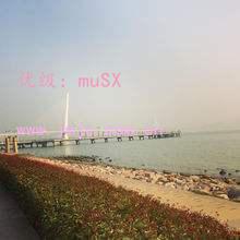 ƻ