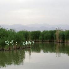 ˳