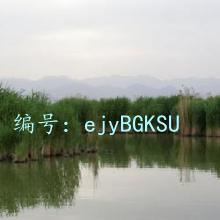 ĩ
